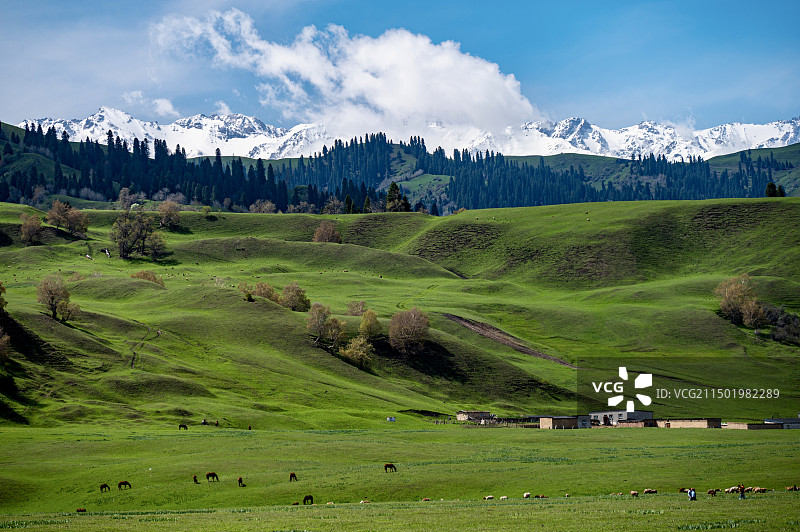 新疆不只有草原图片素材