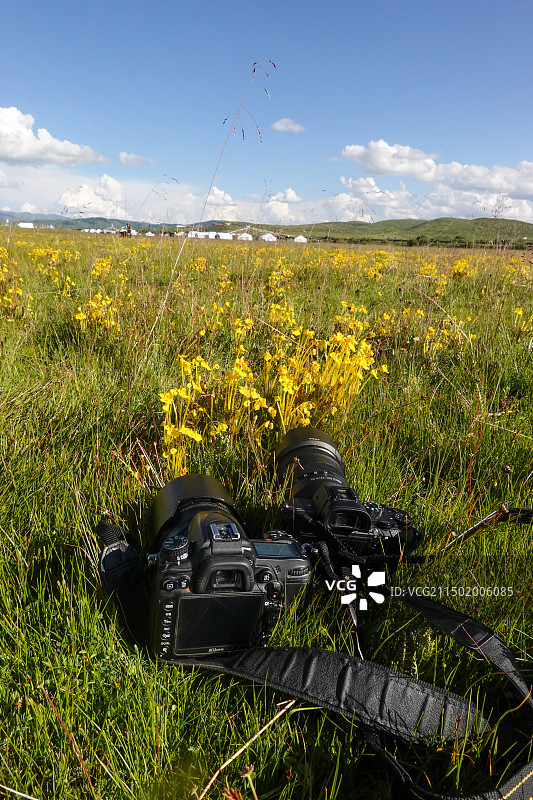 夏天，放在草原草丛里的照相机图片素材