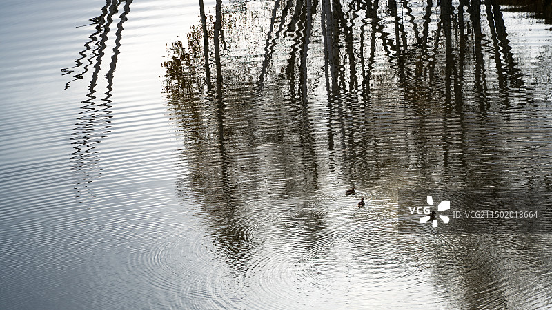 秋水 · 倒影图片素材