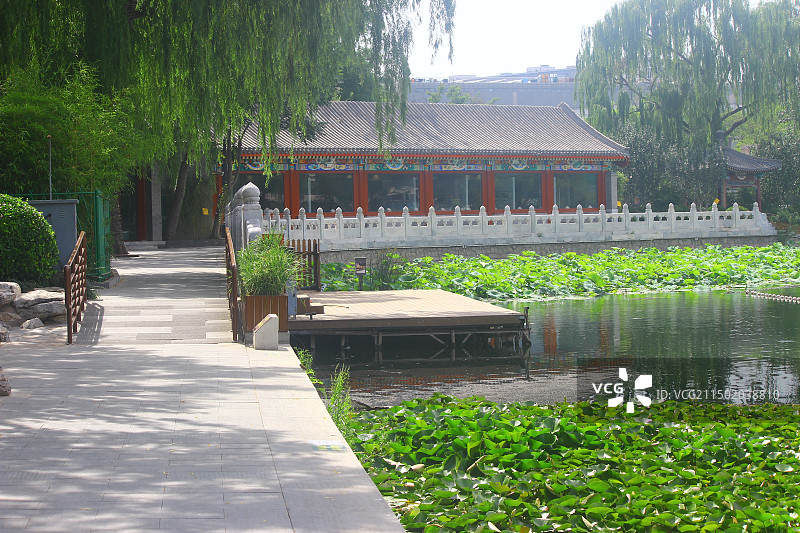 北京市什刹海/什刹海风景区/什刹海景区图片素材