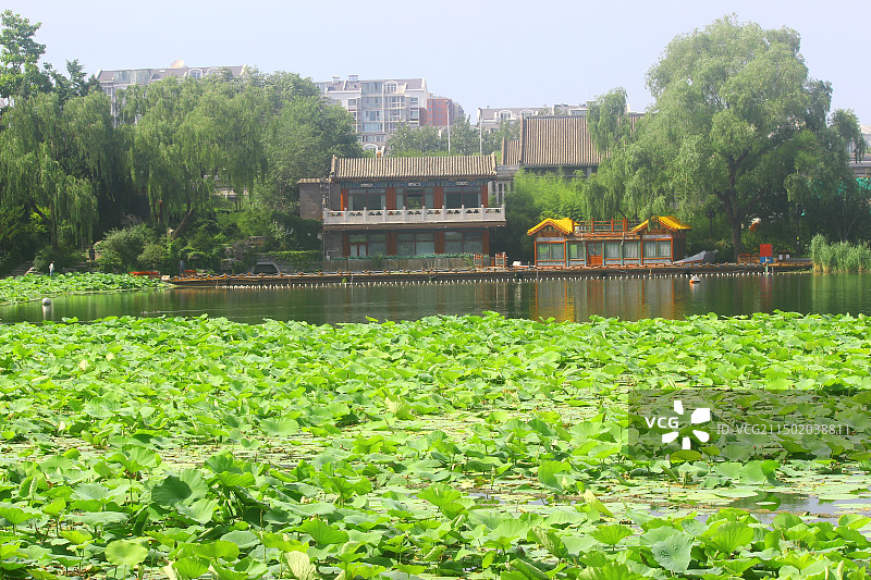 北京市什刹海/什刹海风景区/什刹海景区图片素材