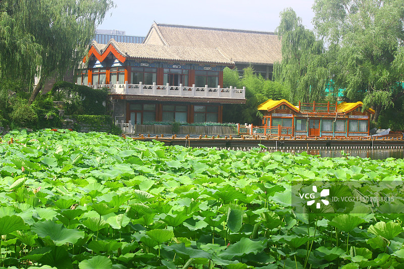 北京市什刹海/什刹海风景区/什刹海景区图片素材