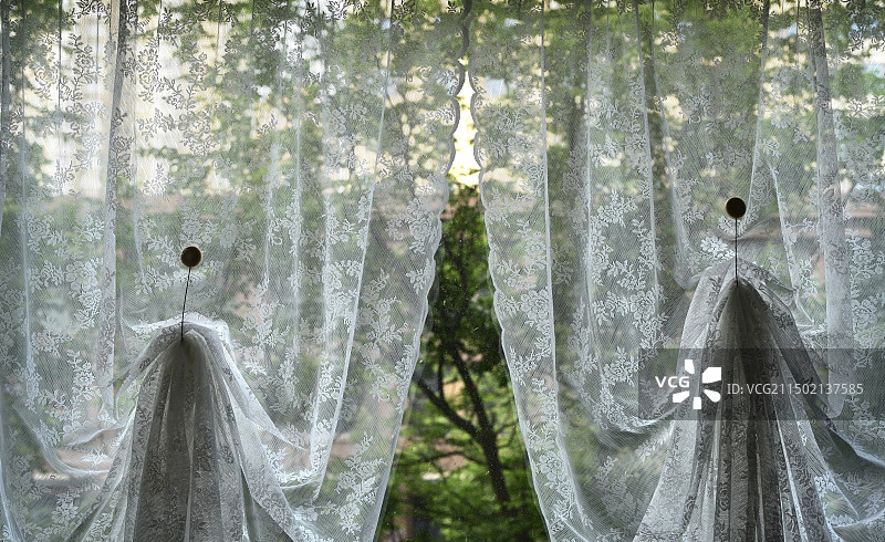 花有意 帘有梦图片素材