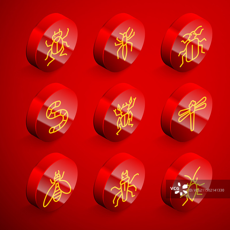 甲虫、蜘蛛、金龟子和蠕虫图片素材