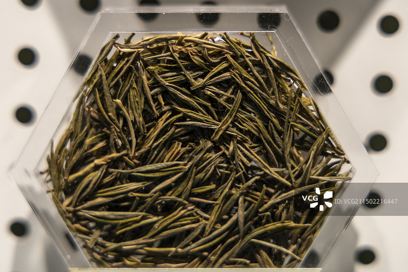 浙江省杭州市中国茶叶博物馆“中国茶文化展”：安吉白图片素材