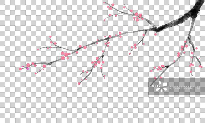 手绘水墨风花卉植物树元素，梅花腊梅树枝。图片素材