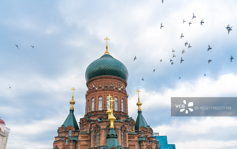 中国黑龙江省哈尔滨市建筑艺术广场索菲亚教堂鸽子图片素材