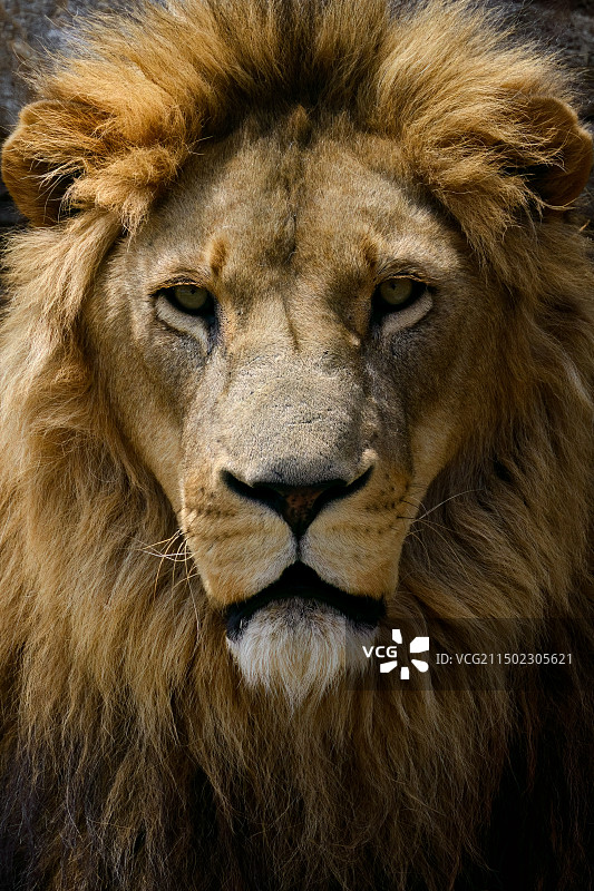 徐州九顶山动物园图片素材