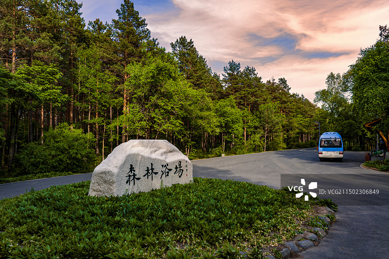夏季的中国长春净月潭国家森林公园森林浴场景观图片素材