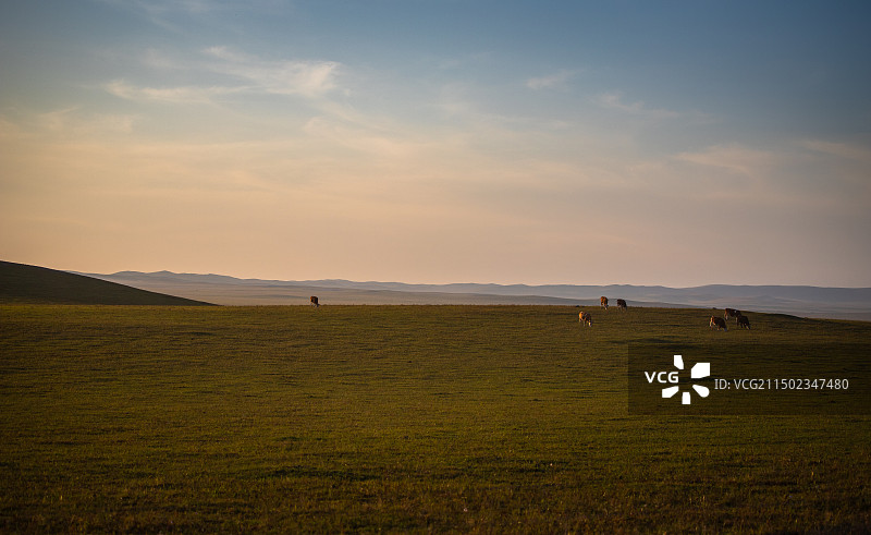 日落的草原图片素材