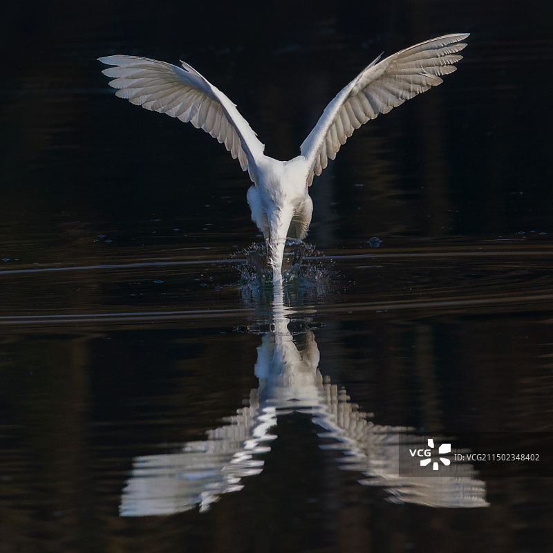 拗X造型图片素材