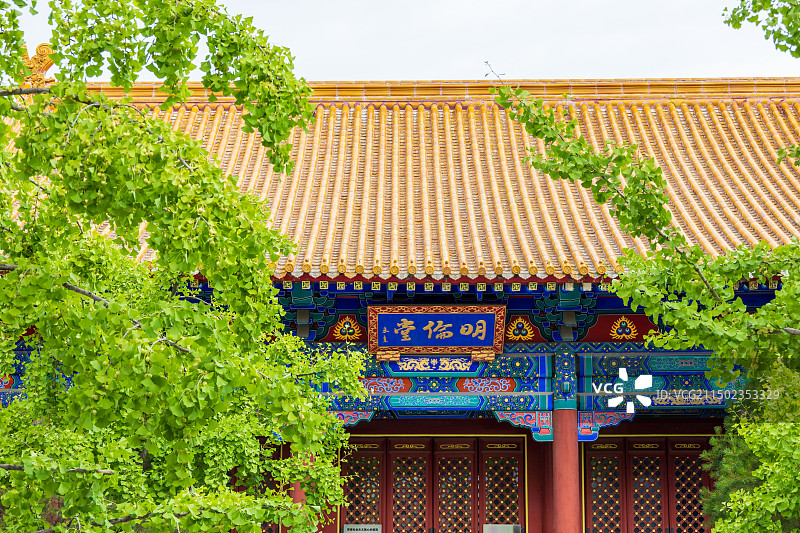 山东济南学府文庙大成殿黄瓦古建筑金鱼莲花石榴图片素材