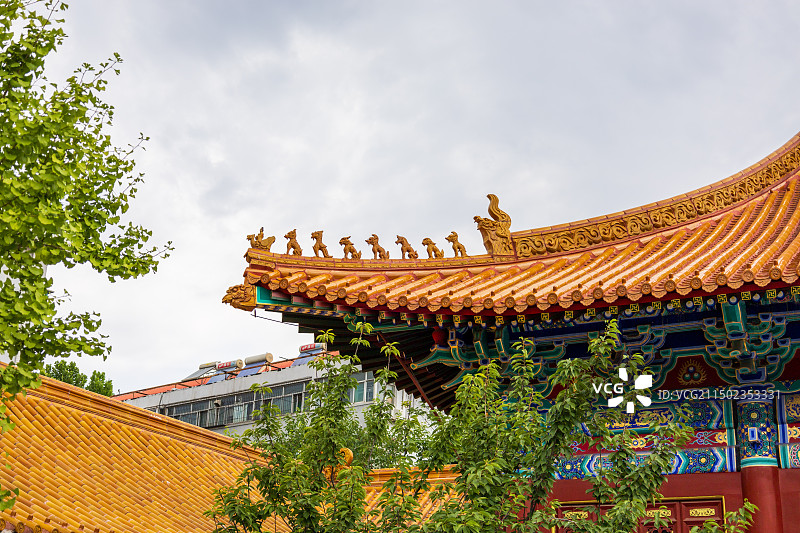 山东济南学府文庙大成殿黄瓦古建筑金鱼莲花石榴图片素材