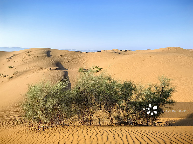 沙漠星星图片素材