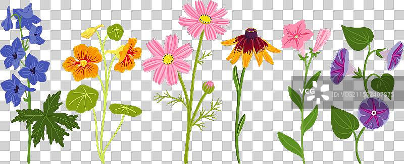 花园花卉绘画图片素材