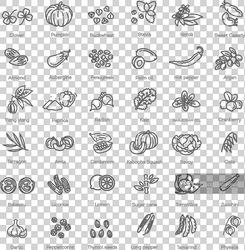 蔬菜和水果细线合集图片素材