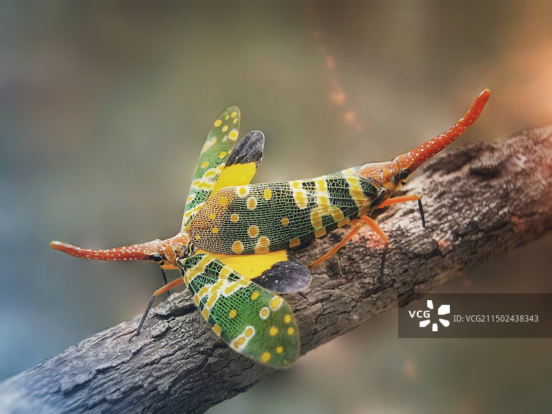 浪漫时光图片素材