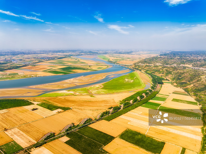 黄河河岸，生态农业，夏季，二十四节气，芒种，成熟，金色小麦，阳光，整齐，生态农业，中原粮仓，航拍图片素材