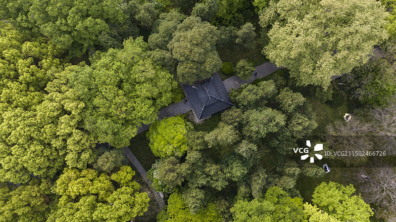 合肥市逍遥津公园图片素材