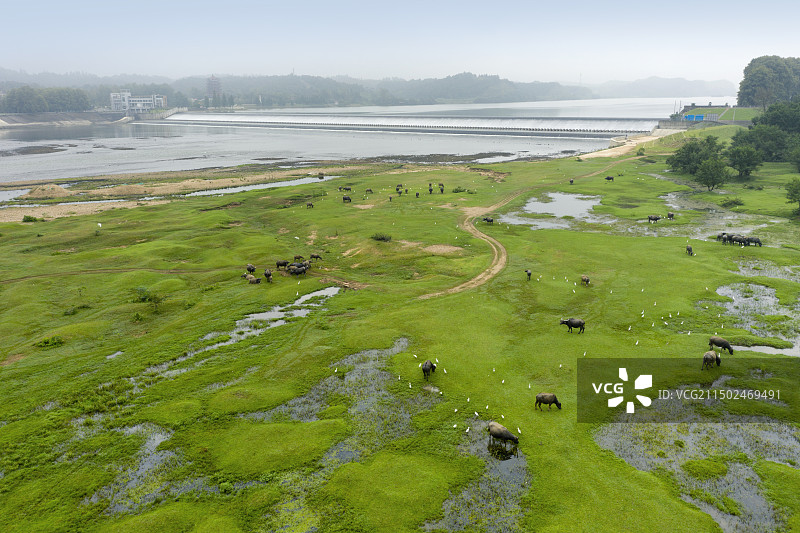 六安天然湿地图片素材