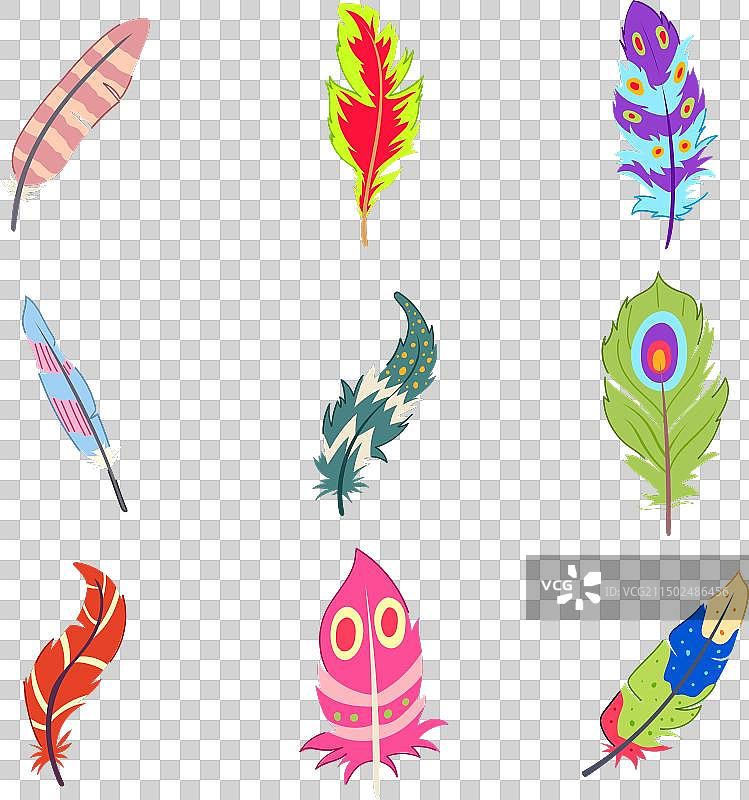 卡通异国鸟类羽毛合集图片素材