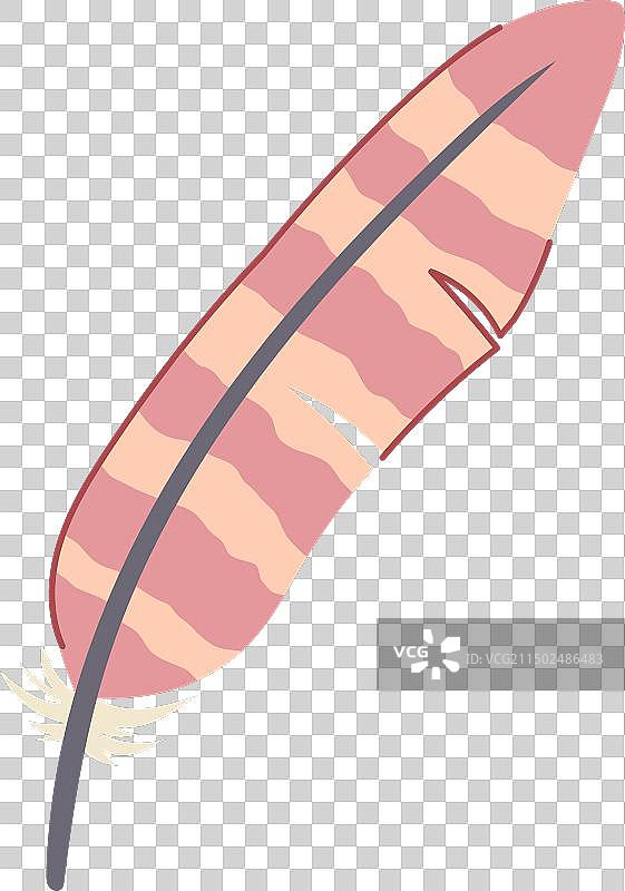 飞翔的奇异羽毛鸟卡通图片素材