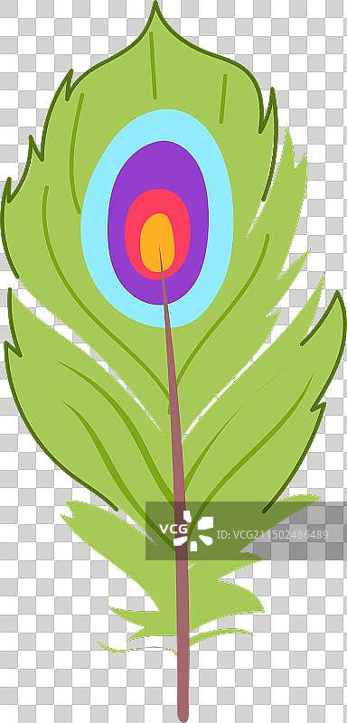 卡通异国鸟羽毛图片素材