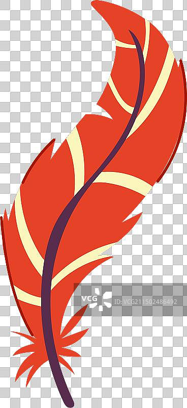 彩色羽毛异国鸟类卡通图片素材