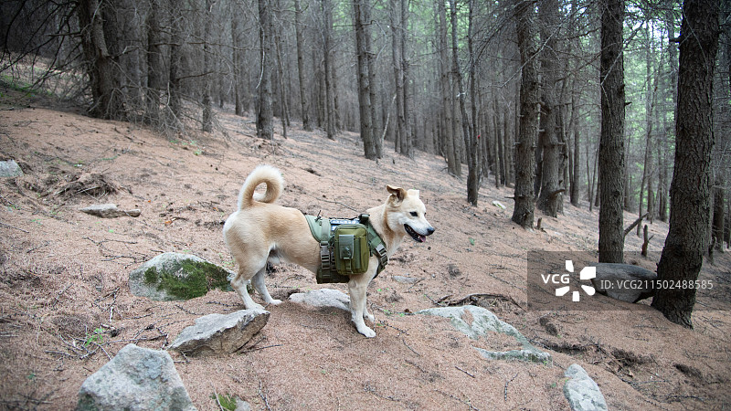 海坨南梁图片素材