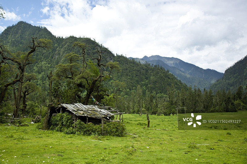 西藏林芝县“南伊沟”景区风光图片素材