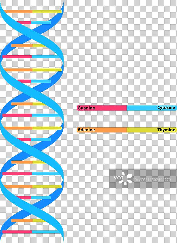 医疗DNA科学DNA设计图片素材