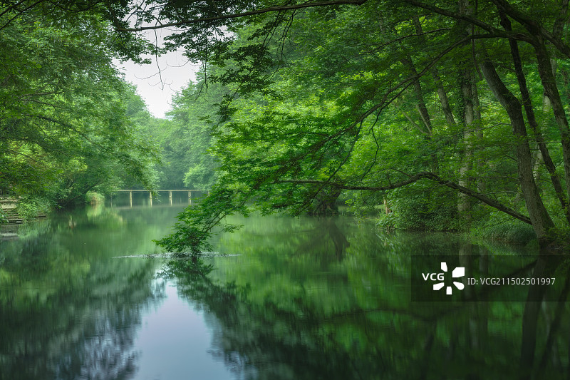 绿野仙踪之西溪南图片素材