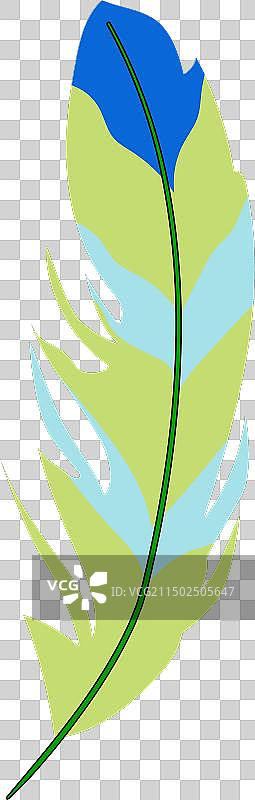 外来鸟类卡通羽毛图片素材