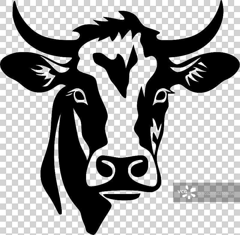 黑白花纹的奶牛图片素材