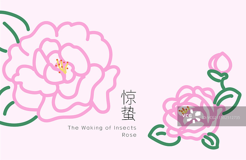 二十四节气之惊蛰蔷薇图片素材