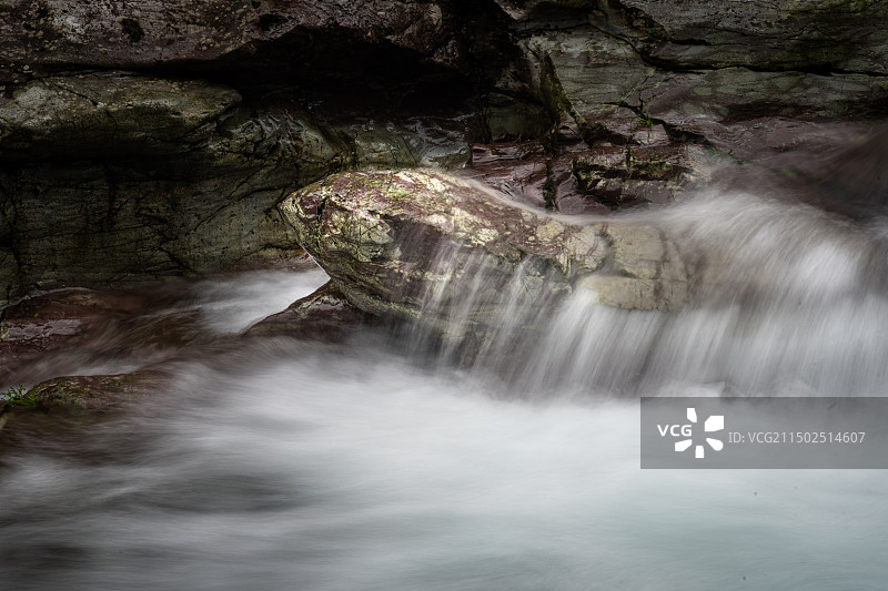 金龟出水图片素材