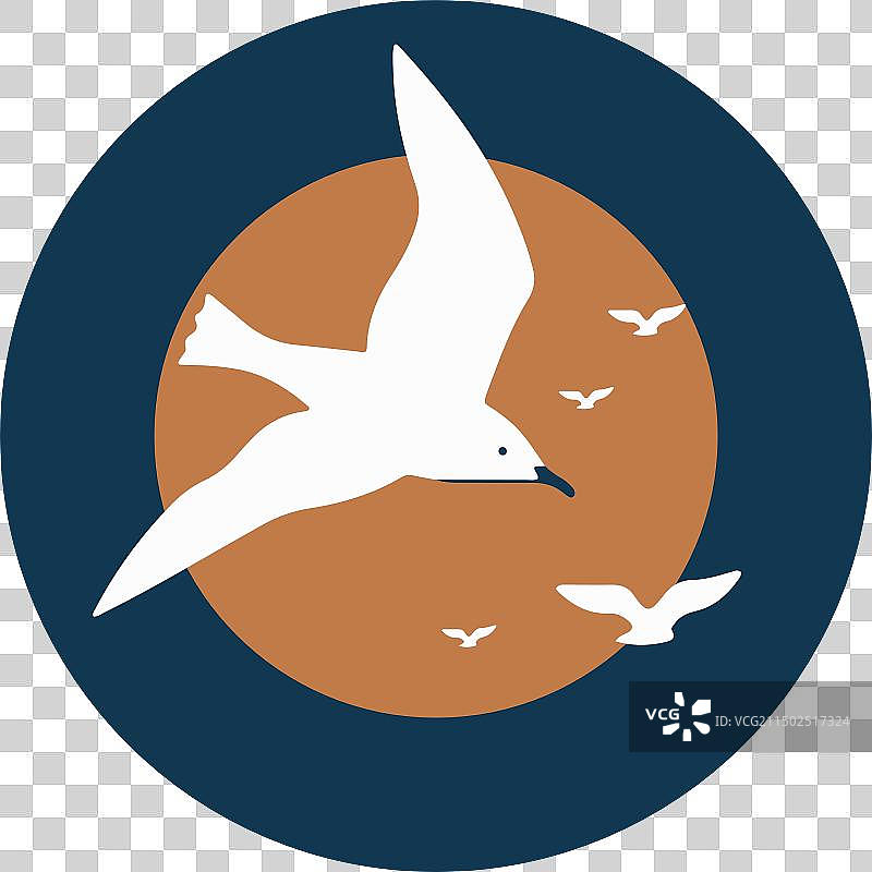 海鸥飞越海浪图片素材