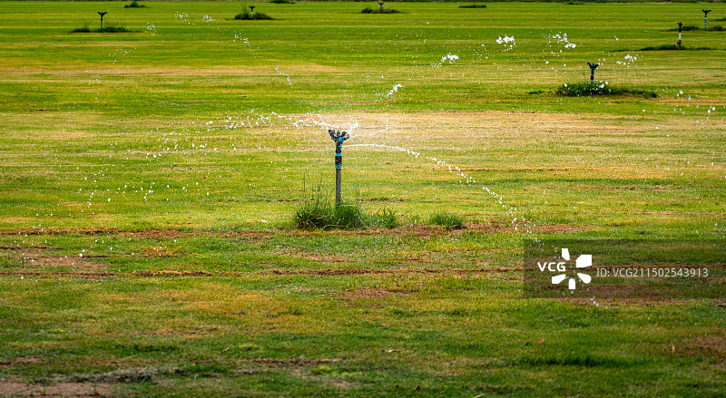 草坪种植，喷淋装置在给草坪喷水图片素材