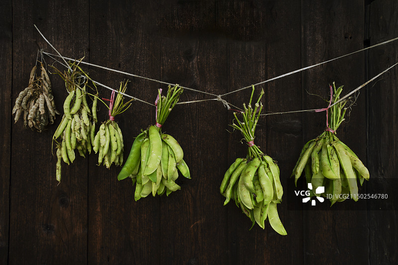 储存豆角图片素材