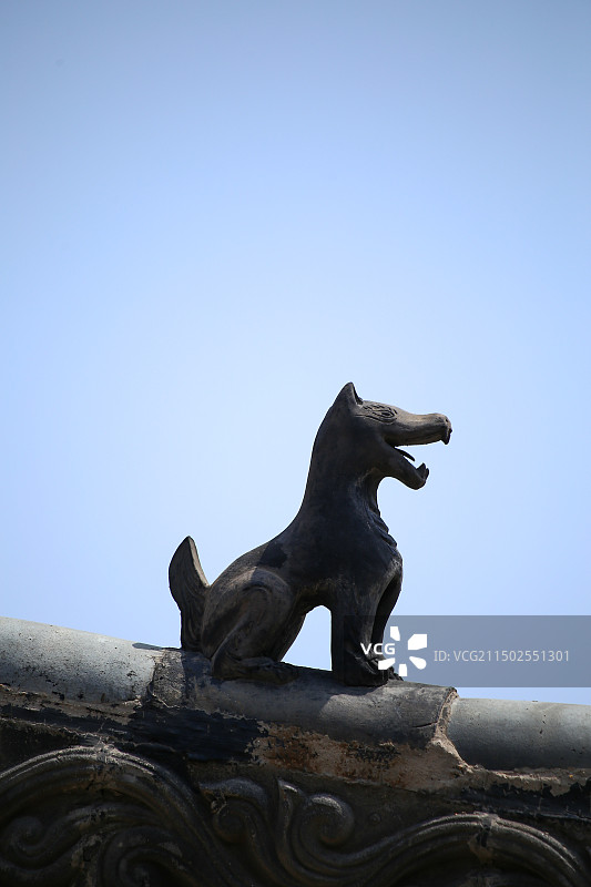 脊兽侧面特写图片素材