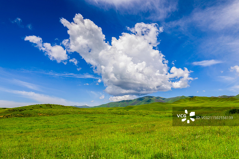 桑科草原图片素材