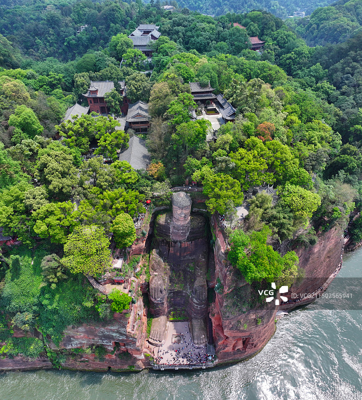 四川省乐山市世界文化自然遗产乐山大佛航拍图片素材