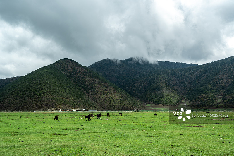纳帕海图片素材