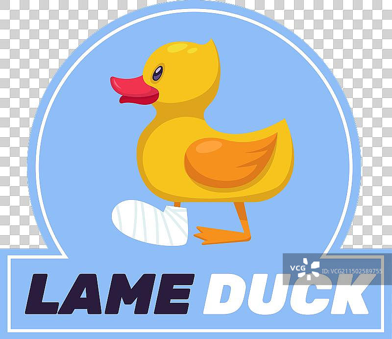 腿上打着石膏的跛脚鸭图片素材