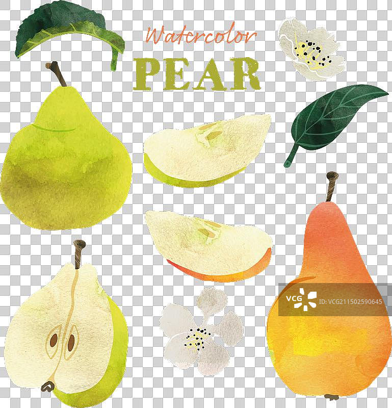 水彩梨子水果与叶子和花朵图片素材