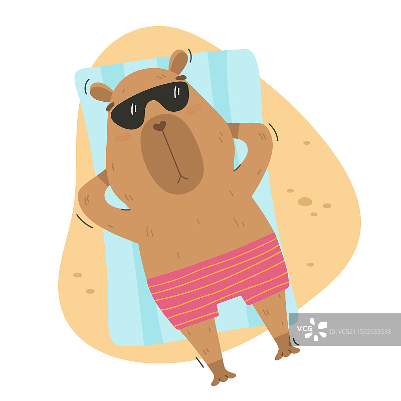 躺在海滩上的有趣游客水豚图片素材