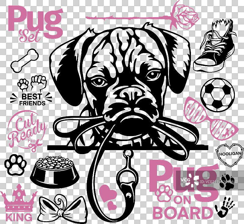 巴哥犬套装 - 巴哥犬 Cricut 衬衫 - 巴哥犬爱好者礼物图片素材