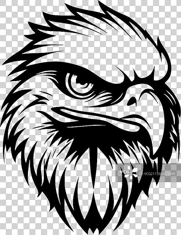 黑白猎隼图片素材