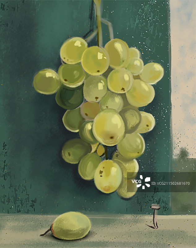 葡萄，欧式复古风格，绿色调图片素材