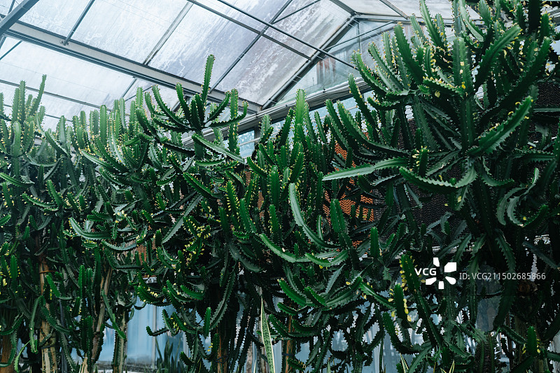 宁波天宫庄园休闲旅游区图片素材